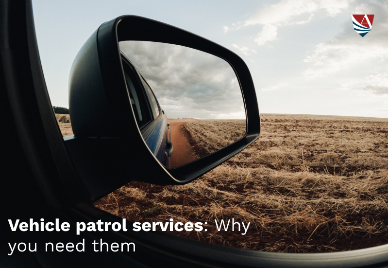 vehicle patrol services